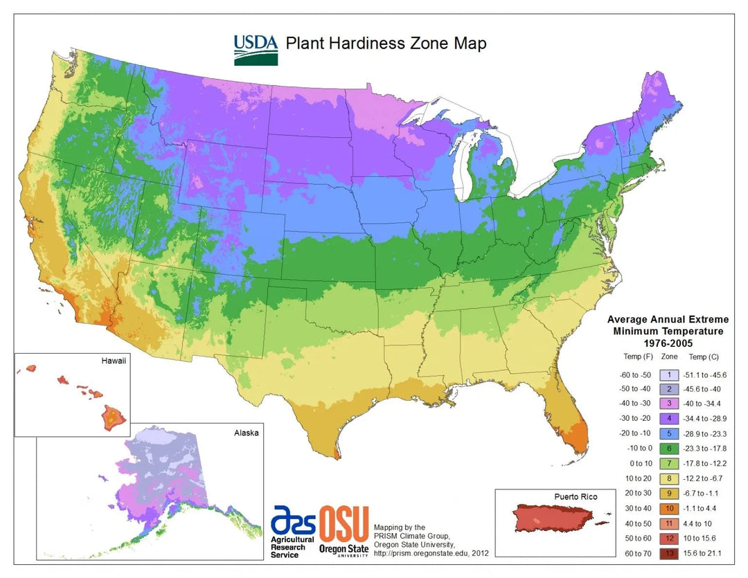 What Is Your Local Hardiness Zone (and Why Does It Matter)?