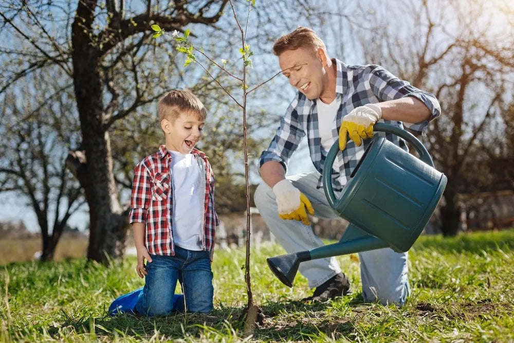 Tips for Planting Fruit Trees in Georgia