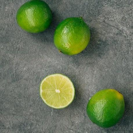 Citrus x latifolia ~ Persian Lime