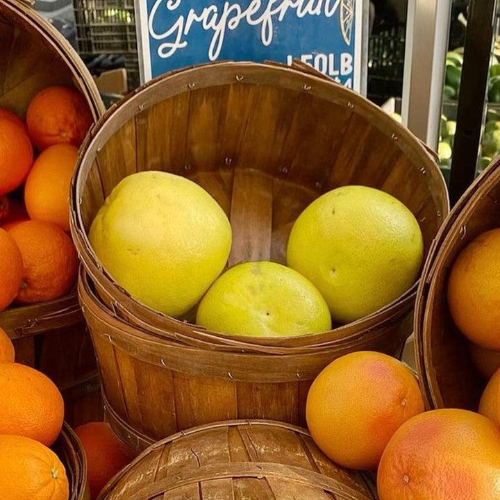 Citrus paradisi 'Oroblanco' ~ Oro Blanco Grapefruit